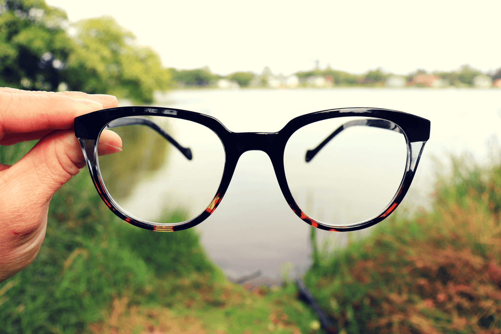 Charleston Reading Glasses I Heart Eyewear