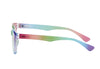 Pride Reading Glasses